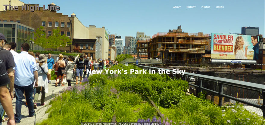 My High Line Website thumbnail