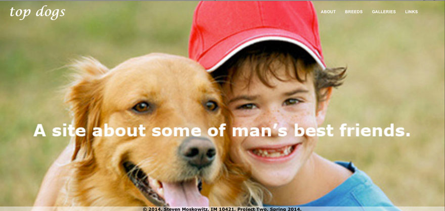 Top Dogs Website thumbnail