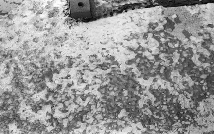 Air Pockets in Ice. Fomapan 200 Black and White Negative Film. Nikon FG.